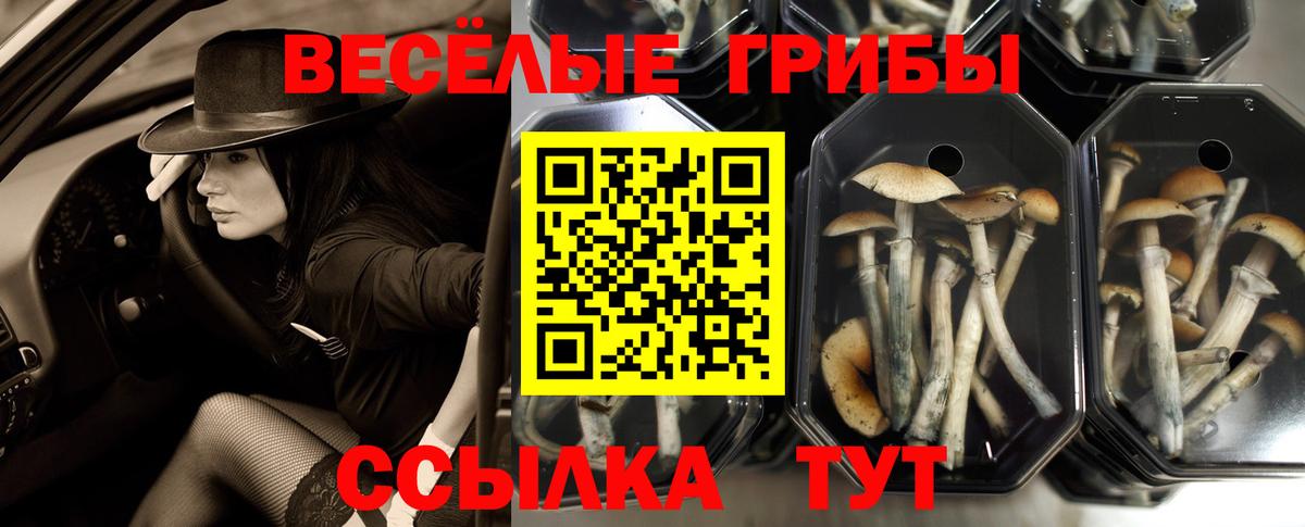 Псилоцибиновые грибы мухоморы Азов